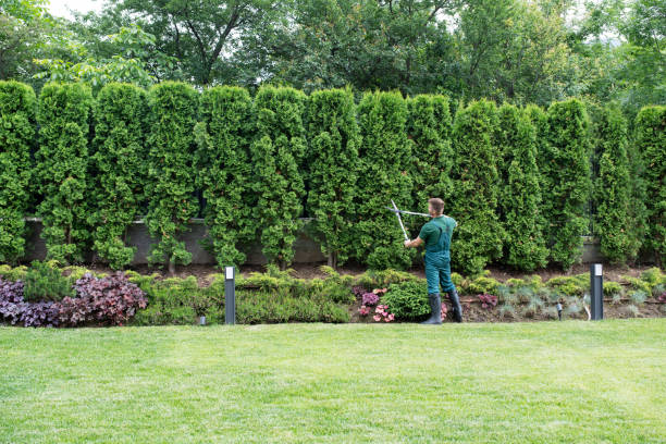 Best Pest Control for Lawns  in Kdeer, IL